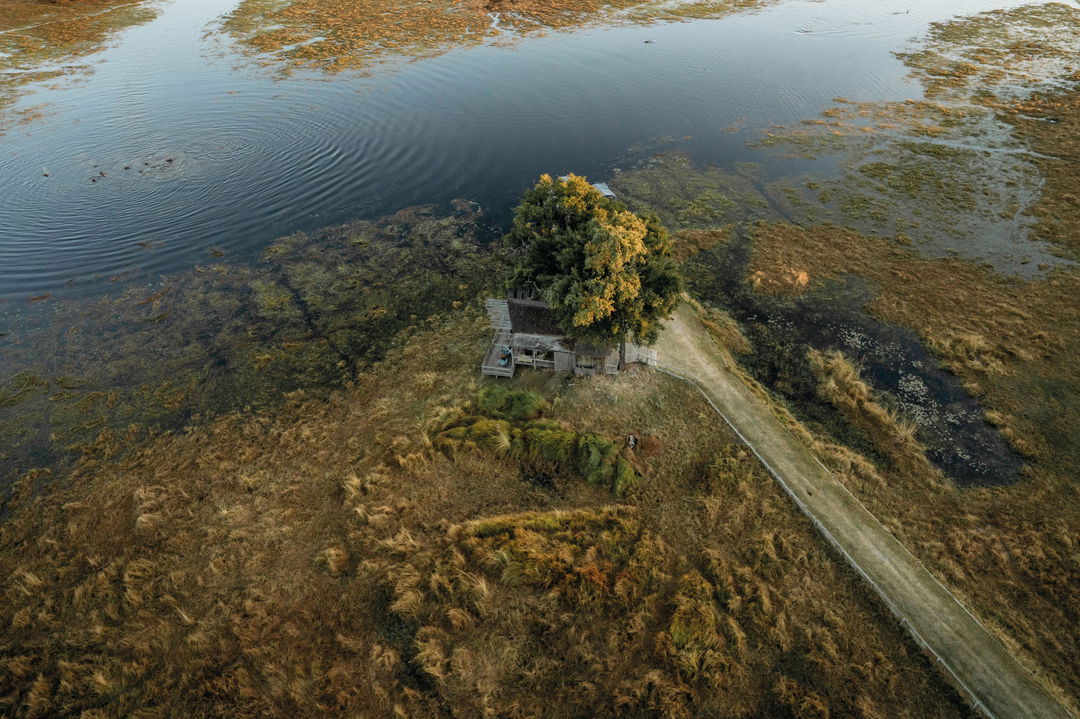 aerial view of the bar under a tree in the delta at Belmond Eagle Island Lodge