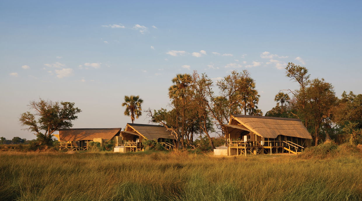 exterior view of the facilities on the Okavango delta of Belmond Eagle Island Lodge