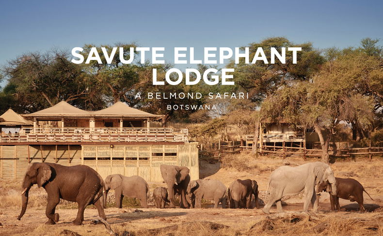 herd of elephants in front of pool hide by main lodge Savute elephant Botswana with Belmond logo overlay herd of elephants in front of pool hide by main lodge Savute elephant Botswana with Belmond logo overlay