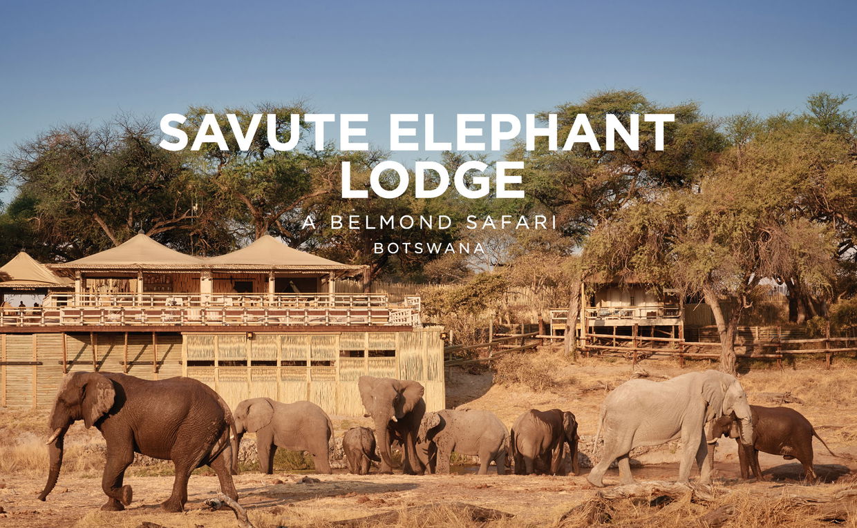 herd of elephants in front of pool hide by main lodge Savute elephant Botswana with Belmond logo overlay
