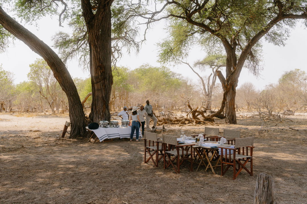 tables set for bush dinner under trees in delta at Savute elephant lodge Belmond