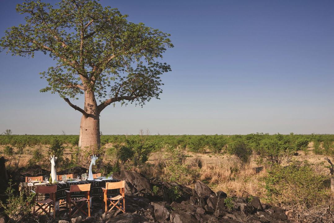 table set for two guests in bush under baobab tree in Botswana