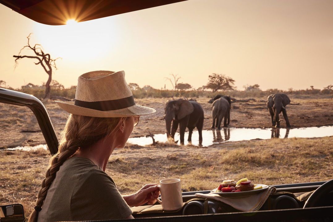 guest having coffee on deck watching three elephants close by at Savute elephant lodge in Okavango delta