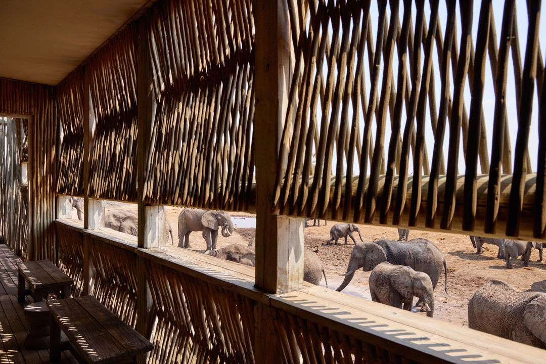 partial view of elephants at waterhole as seen from hide at Savute elephant lodge Botswana