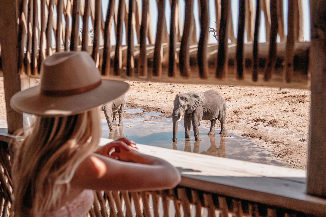 lady guest in hide by Savute elephant lodge Botswana looking at lone elephant by water