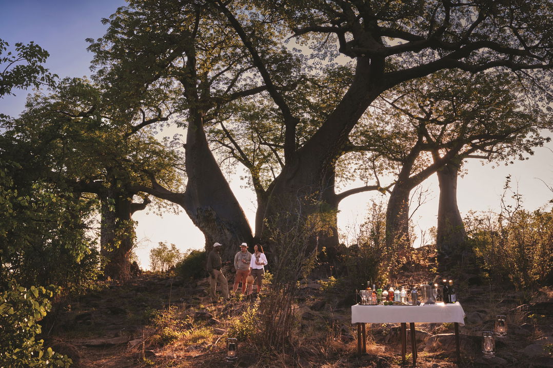 guests with guide under big tree with table set for sundowners in Okavango delta by Belmond safaris