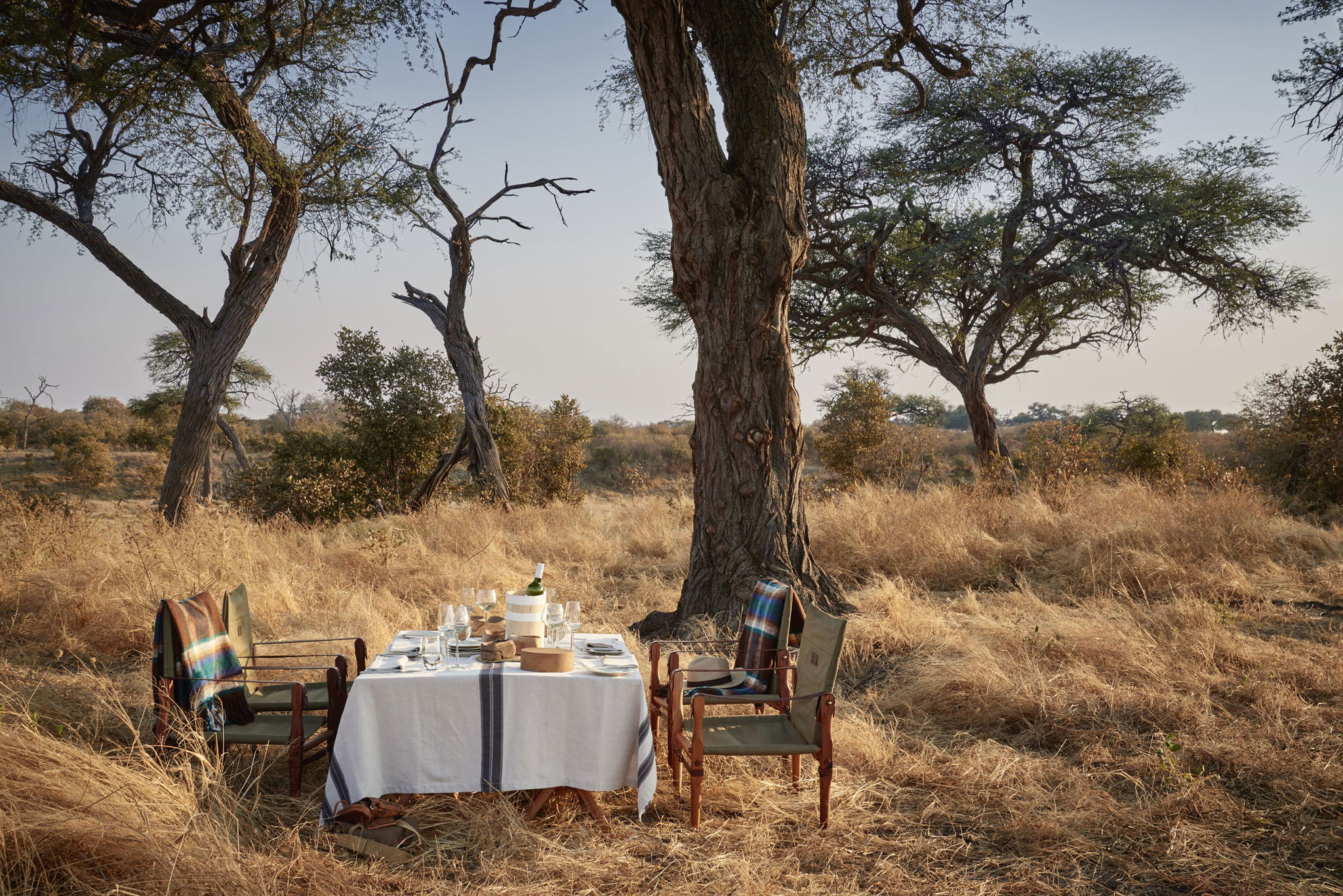 dining table set under tree in south African bush for guests on safari