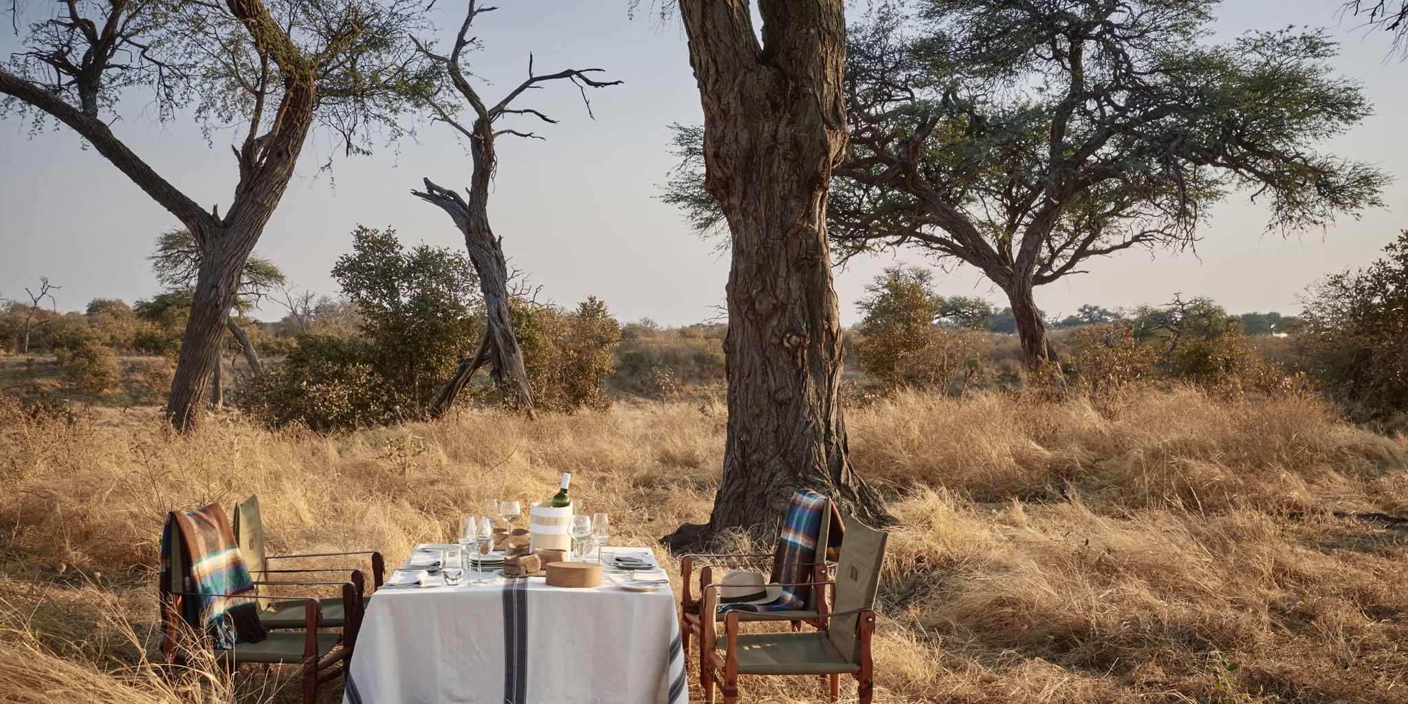 dining table set under tree in south African bush for guests on safari