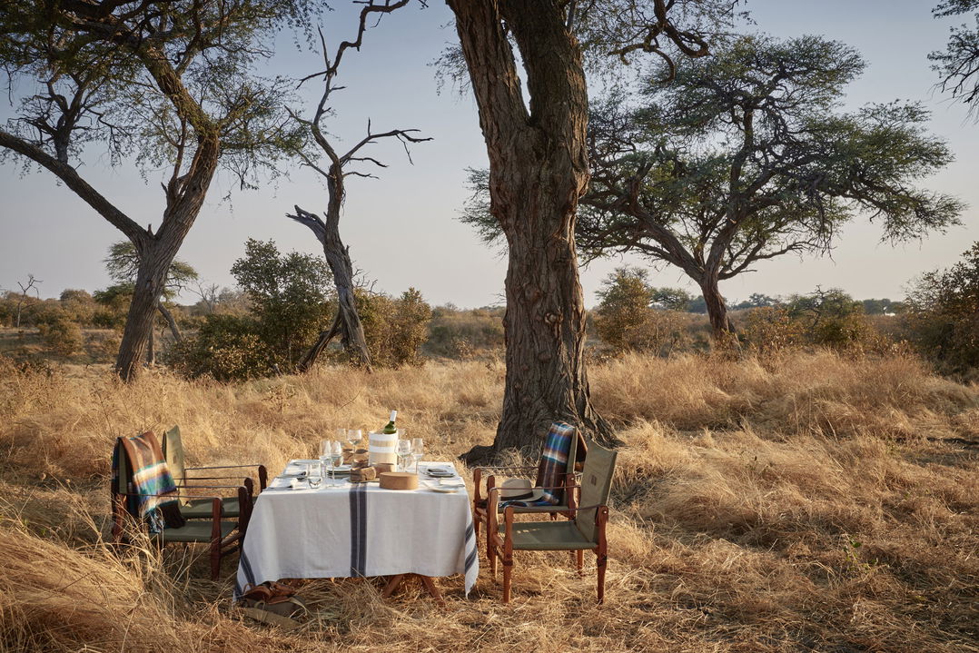 dining table set under tree in south African bush for guests on safari