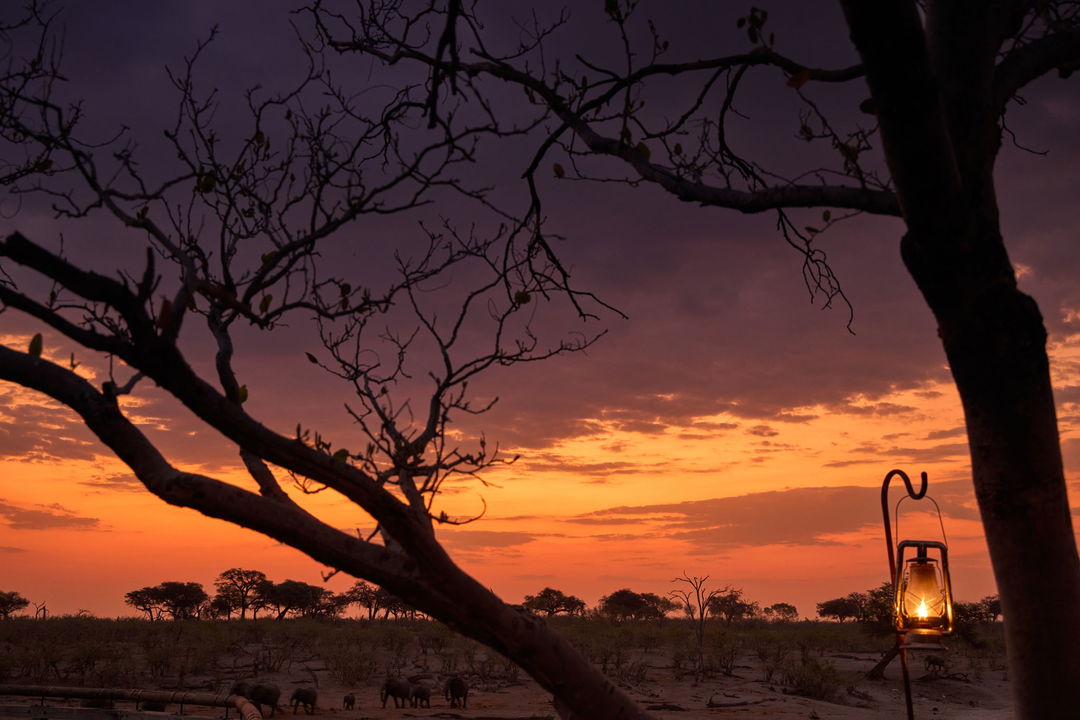 sun setting over Okavango delta with tree branches in foreground at Savute elephant lodge Belmond
