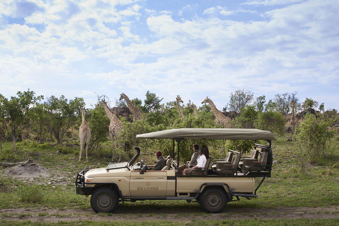 safari vehicle with guests on game viewing trip in Okavango delta looking at giraffes at Savute elephant lodge