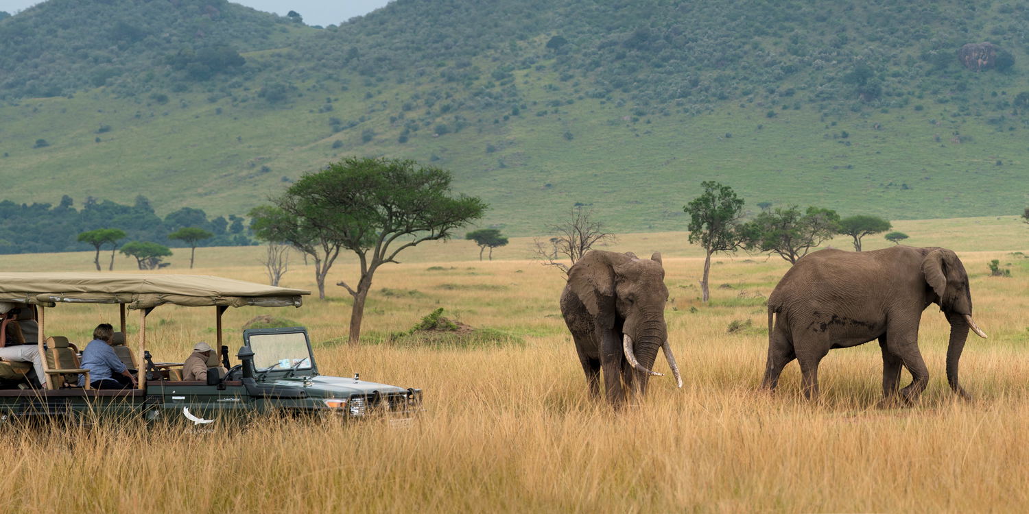 elephant sighted on plains by andbeyond Bateleur camp Kenya Masai Mara
