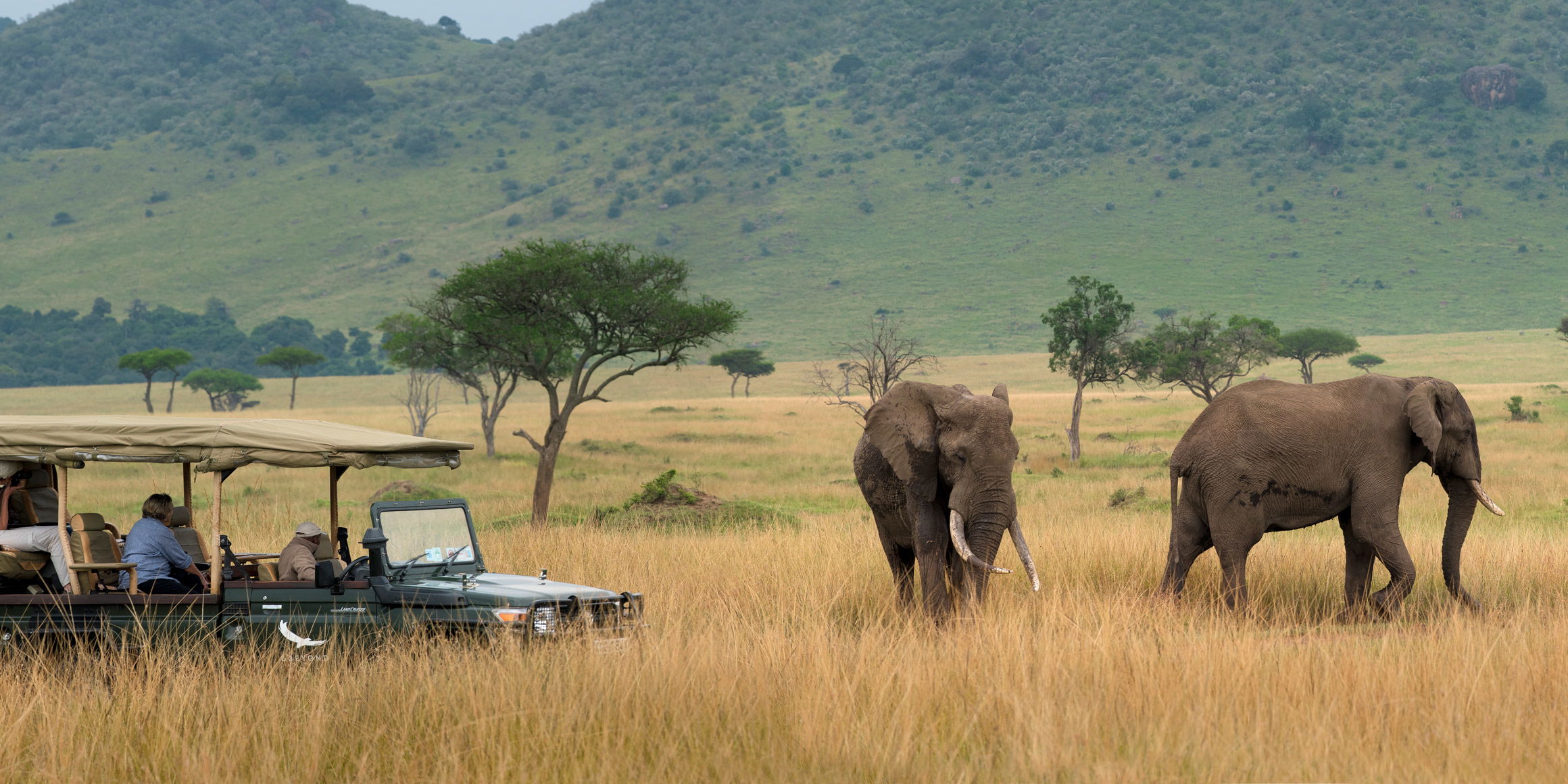 elephant sighted on plains by andbeyond Bateleur camp Kenya Masai Mara