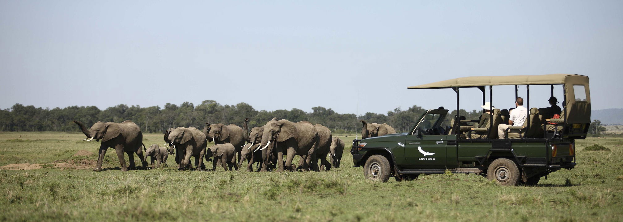 herd of elephants near safari vehicle of andbeyond Bateleur camp Kenya Masai Mara