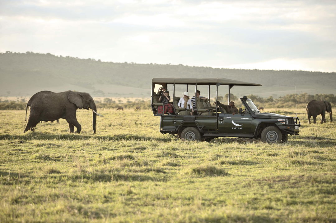 elephant behind safari vehicle of andbeyond Bateleur camp Kenya Masai Mara