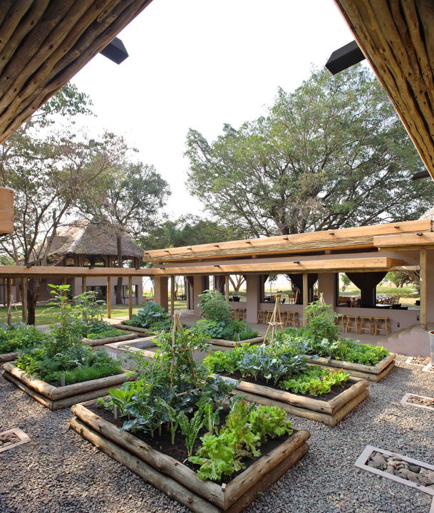 shamba gardens at andBeyond Kichwa Tembo Camp Kenya Masai Mara