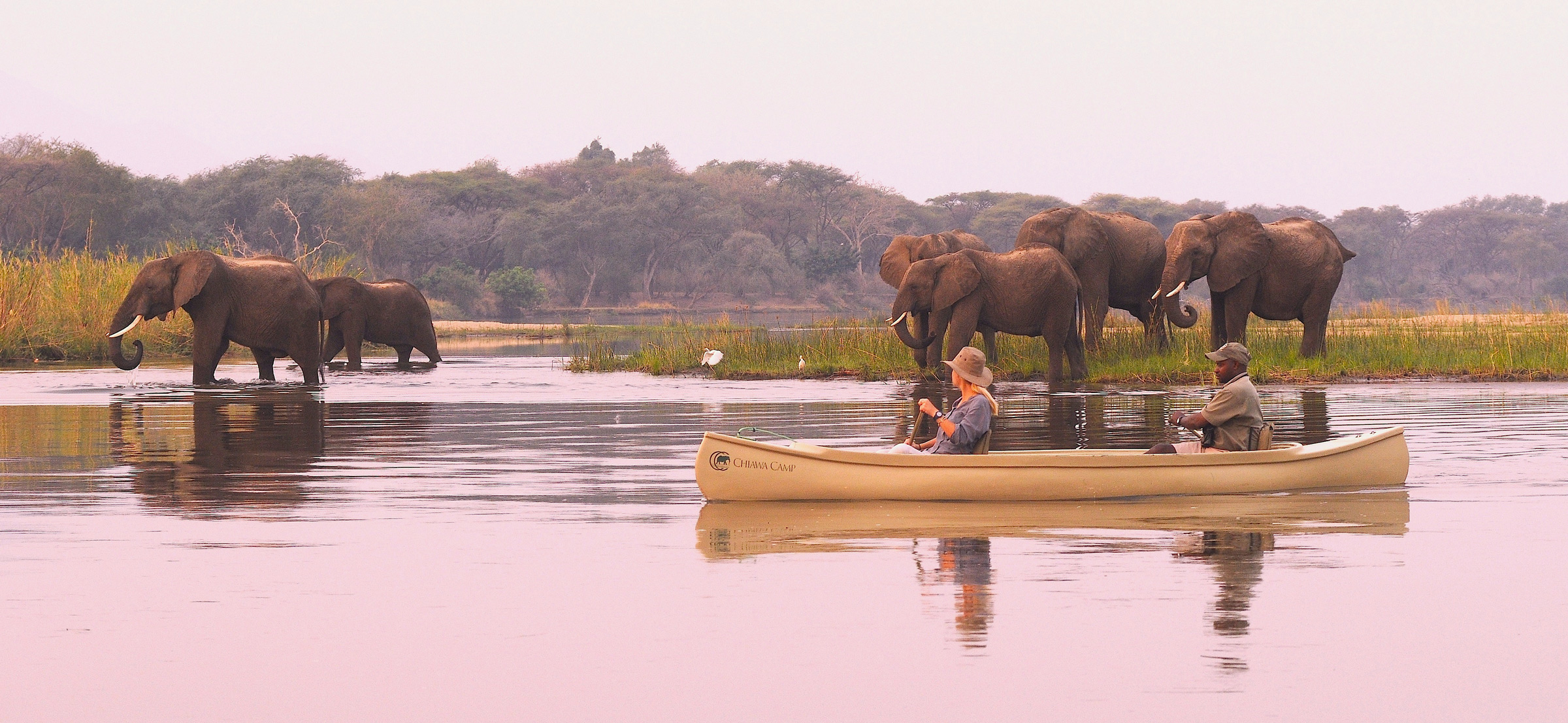 lady guest in canoe looking at elephants in river in zambia