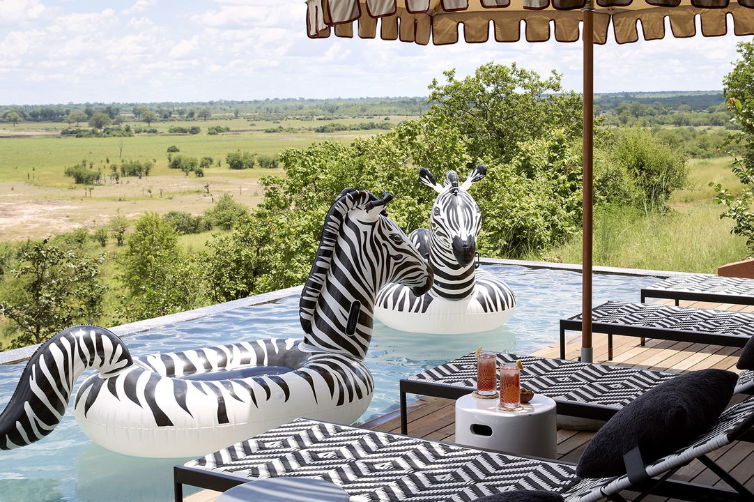 blow up zebras in the pool of Chichele Presidential Camp Luangwa Plains Zambia