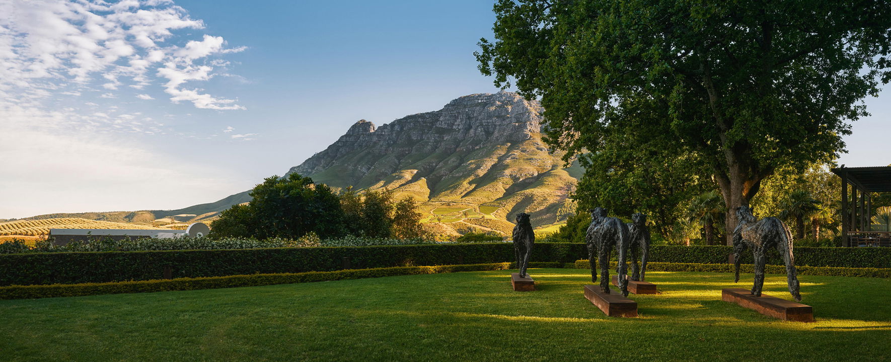 gardens with artwork and mountain view at Delaire Graff luxury Wine estate in Franshoek