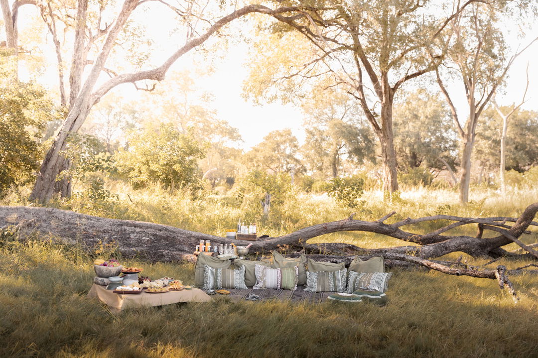 picnic setting with pillows and blanket in the bush at Vumbura Plains Camp Wilderness Okavango Delta