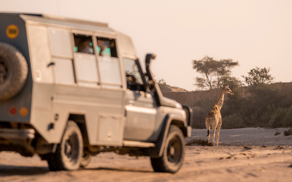 safari vehicle looking at giraffe in dry river bed at Hoanib camp wilderness Namibia 