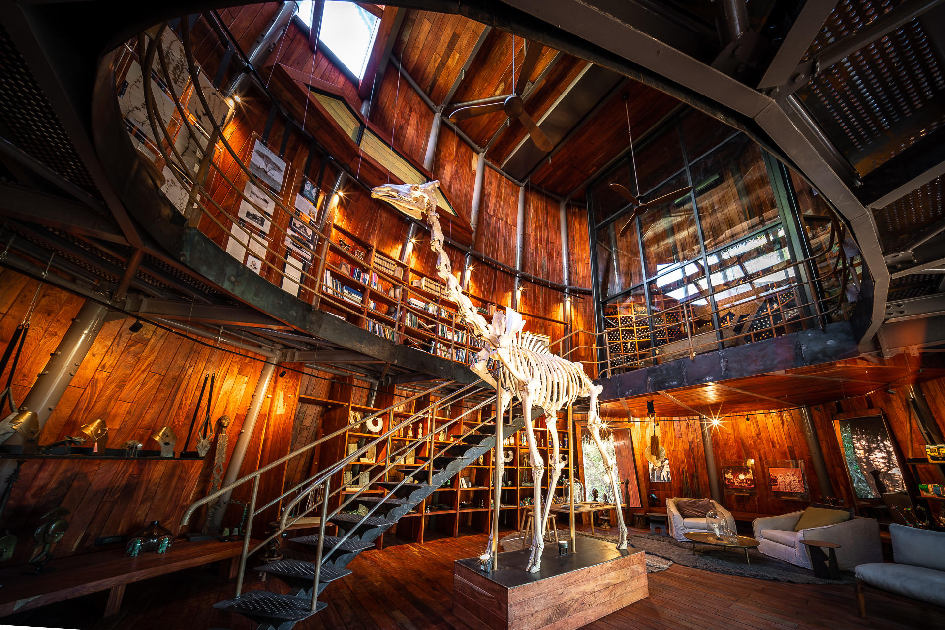 giraffe skeleton in library of Jao camp wilderness botswana