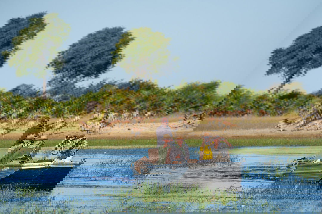 herd of antelopes in background in Okavango delta with boat and guests in foreground