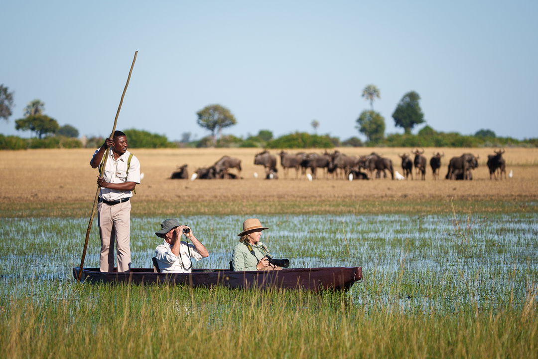 couple with guide in mokoro looking at wildlife at Jao Camp Wilderness Okavango Delta Botswana