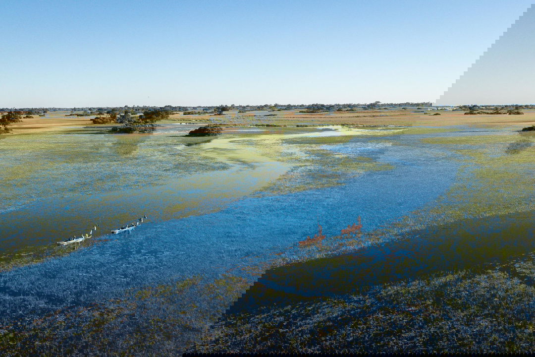 two mokoros floating through the waterways in the Okavango delta by Jao Camp Wilderness