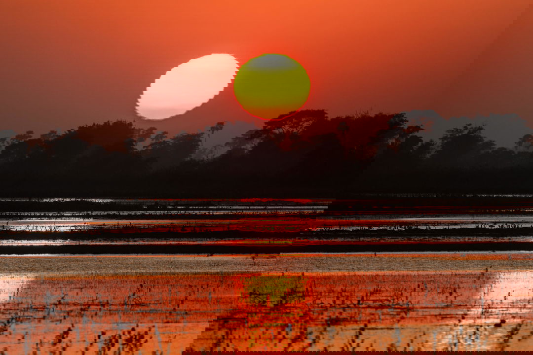 sun setting over delta at Jao Camp Wilderness Okavango Delta Botswana