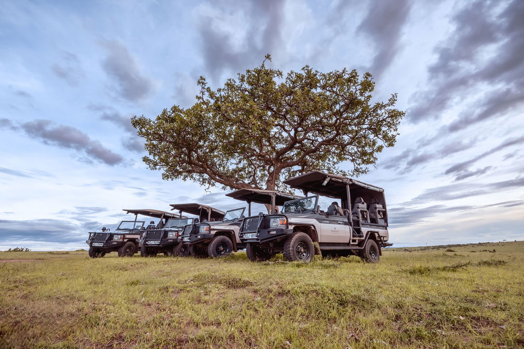 row of safari vehicles parked under a tree at the JW Marriot Masai Mara Kenya