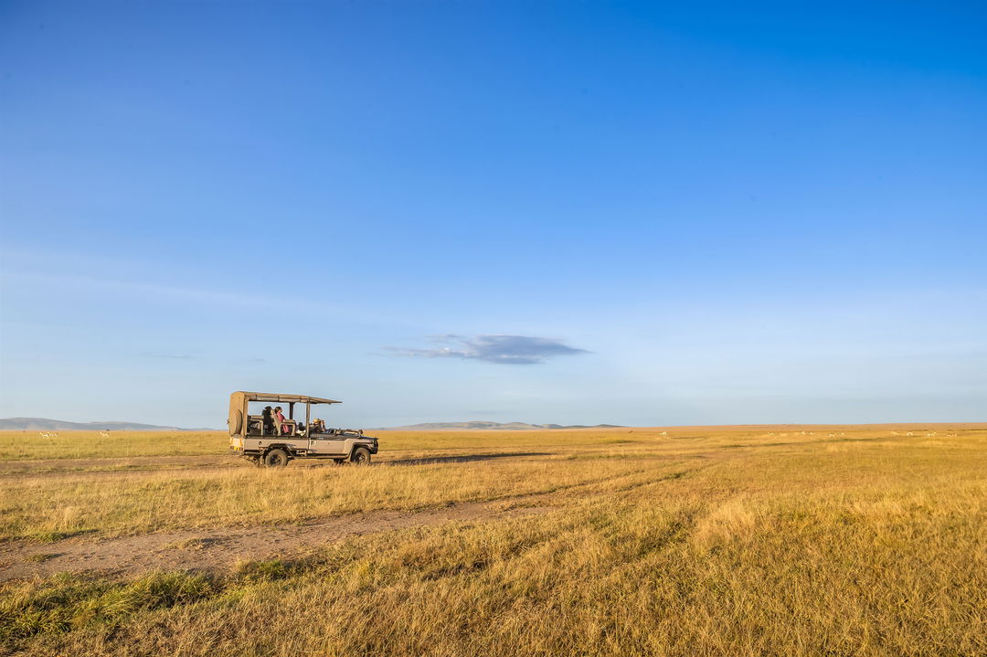 lone safari game view vehicle on the savannas at the JW Marriot Masai Mara Kenya