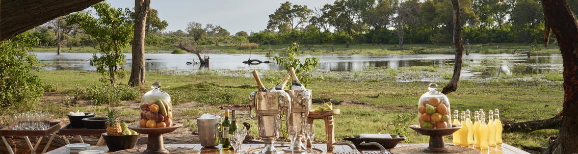 Luxury South African Safari Secrets VIP Travel Botswana