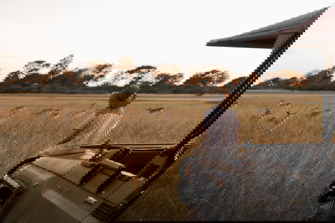 guest on hood of safari vehicle looking at game on delta at Vumbura Plains Camp Wilderness Okavango Delta