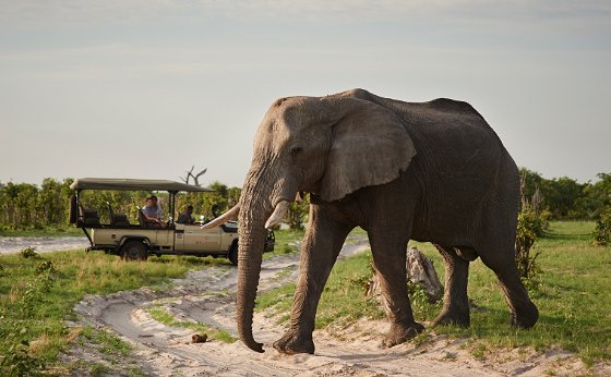 3 Nights / 4 Days Kruger Park Luxury Safari Package
