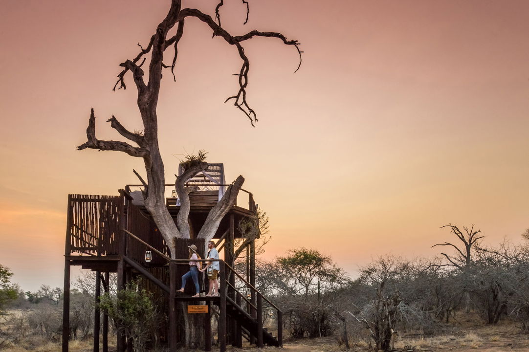 sunset view of Chalkley Treehouse at Lion Sands Game Reserve