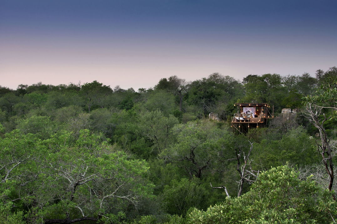 semi aerial view of Kingston treehouse in bushes of lion sands reserve