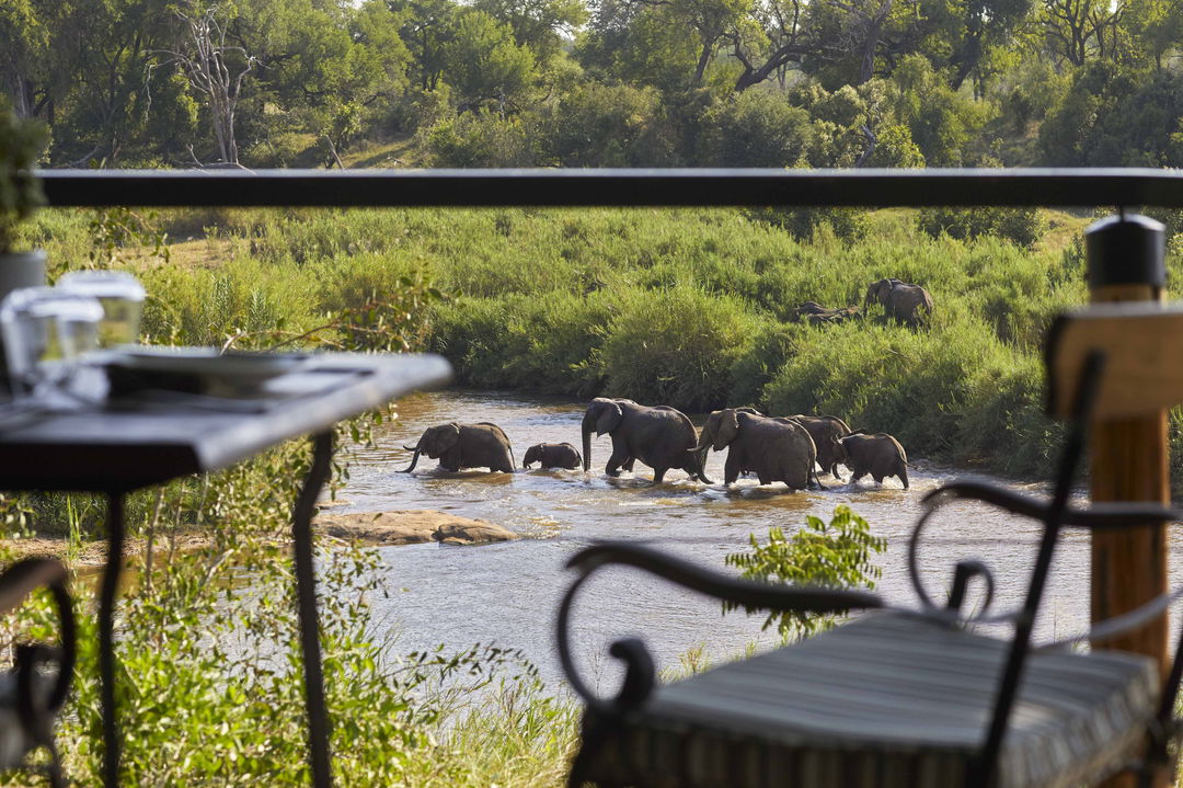 elephants in river below deck at Tinga lodge Lion sands