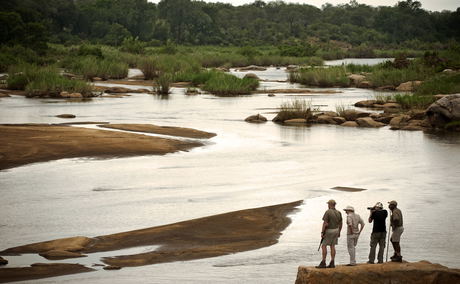 guides and guests on a walking safari overlooking river safari at Lion Sands Game Reserve