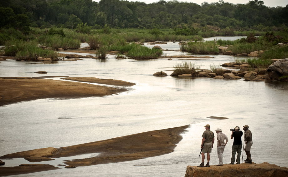 guides and guests on a walking safari overlooking river safari at Lion Sands Game Reserve guides and guests on a walking safari overlooking river safari at Lion Sands Game Reserve