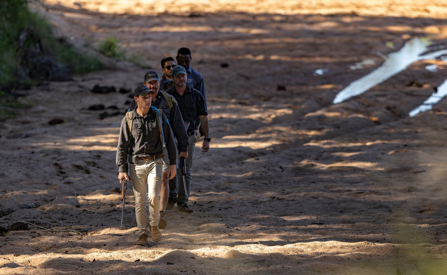 guide and guests on a walking safari by Lion Sands Game Reserve