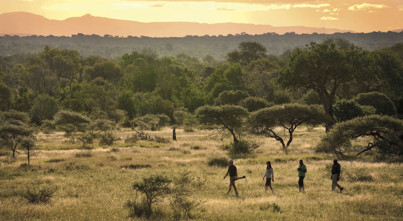 guests and guide in bush on walking safari by lion sands