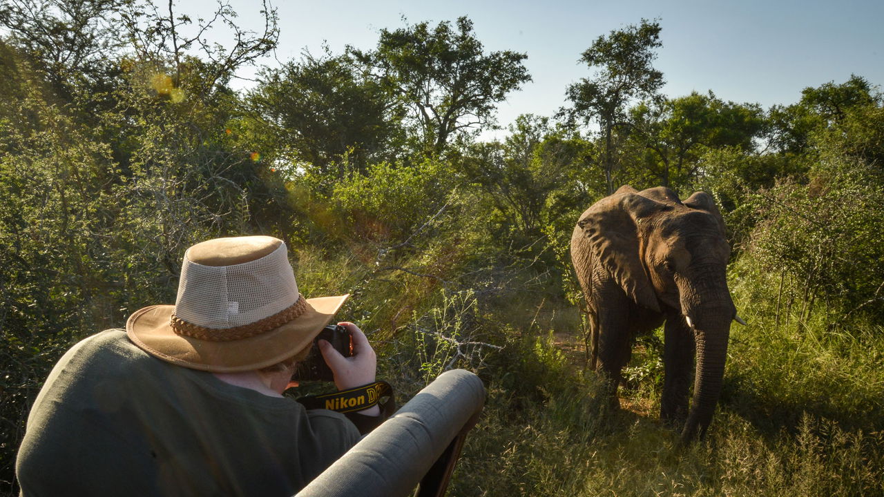 guest filming elephant next to safari vehicle at lion sands