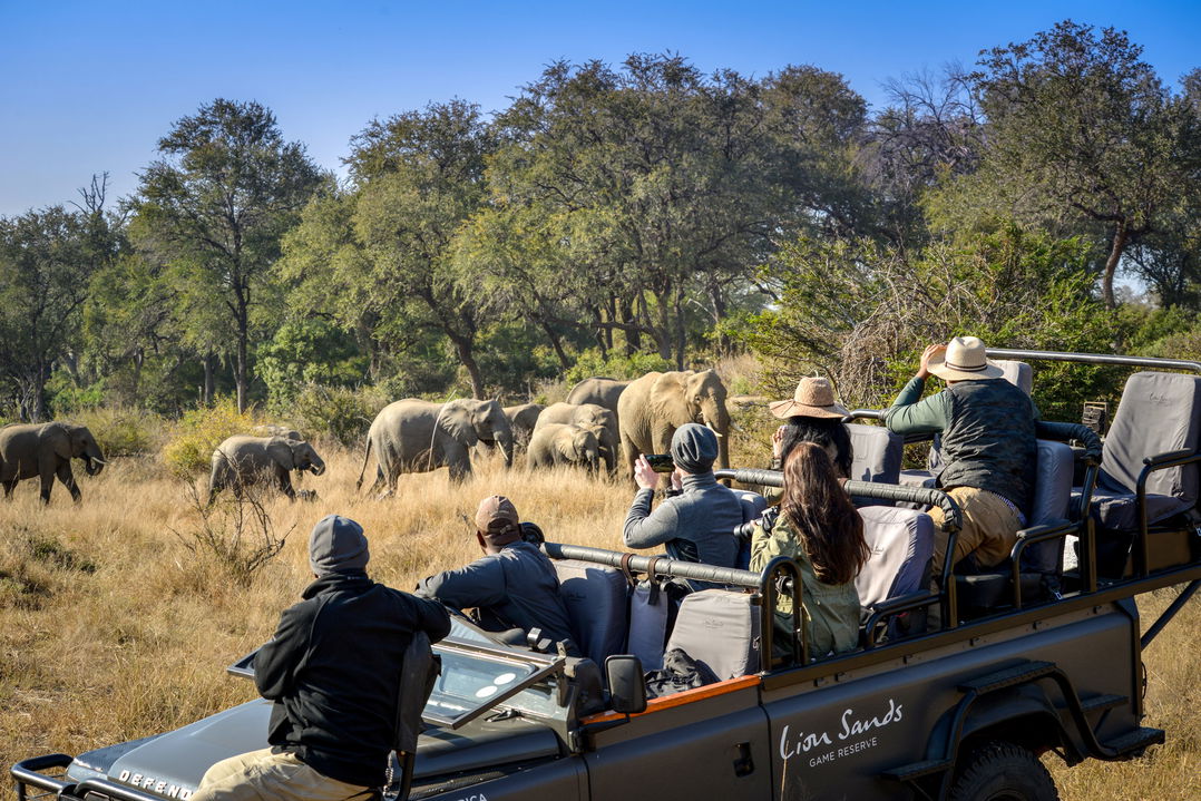 elephants by safari vehicle with guests filming at Lion Sands Game Reserve