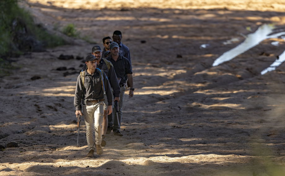 guide and guests on a walking safari by Lion Sands Game Reserve guide and guests on a walking safari by Lion Sands Game Reserve
