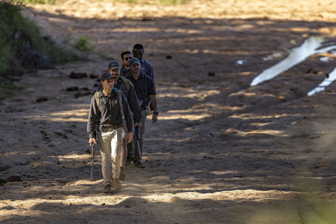 guide and guests on a walking safari by Lion Sands Game Reserve