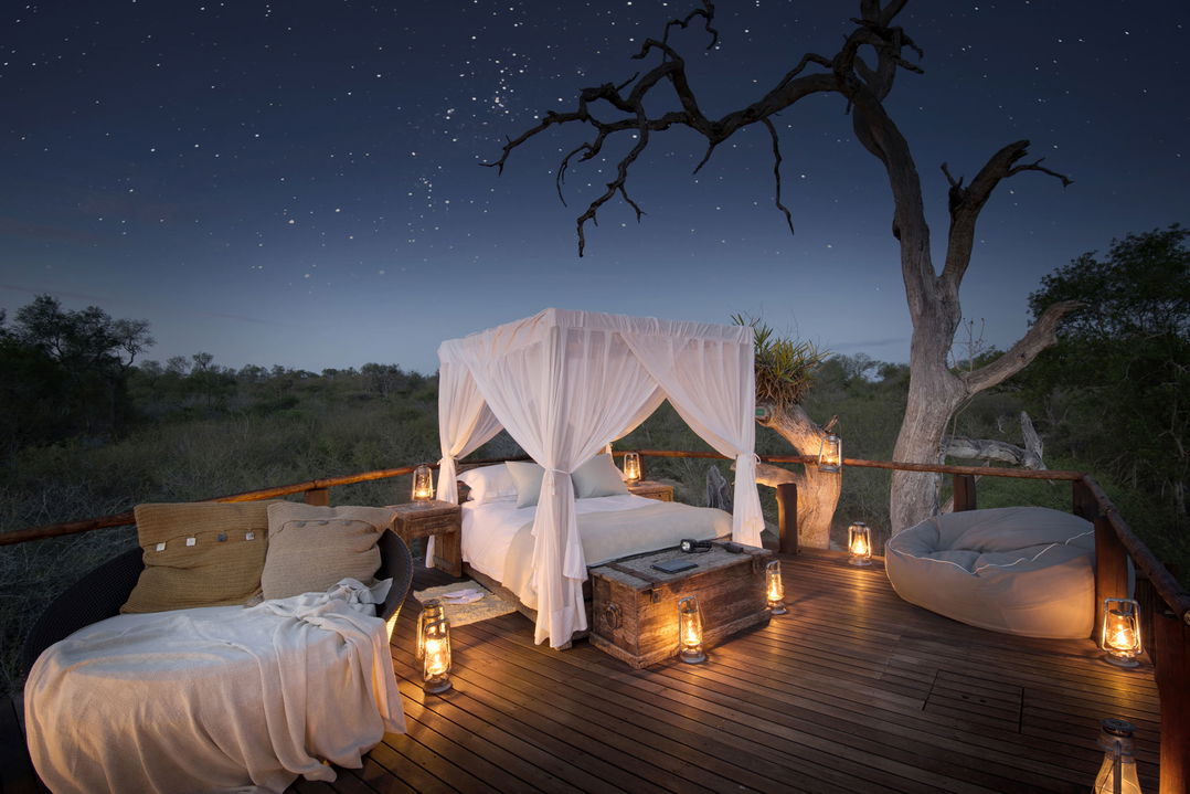 evenieng view of Chalkey treehouse at Lion Sands Game Reserve