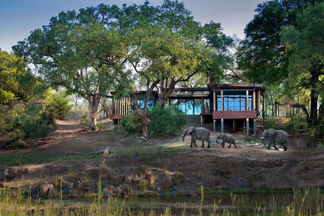 elephant in front of luxury suite  at &Beyond Tengile River Lodge Sabi Sands