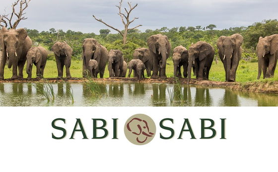 Sabi Sabi Portfolio