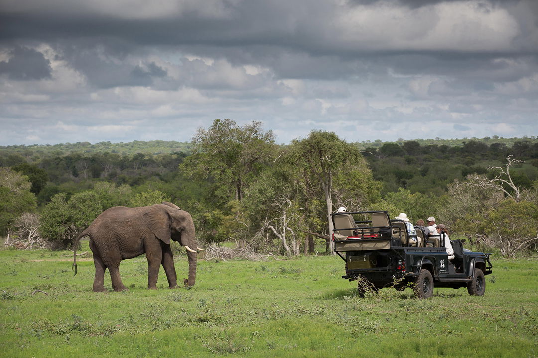 elephant in a clearing close to game drive vehicle of Lodolozi